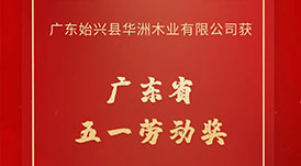 喜訊！華洲木業(yè)榮獲廣東省五一勞動獎！