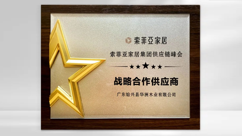 【品牌實(shí)力】華洲：創(chuàng)新引領(lǐng)，品質(zhì)鑄就傳奇(圖5)
