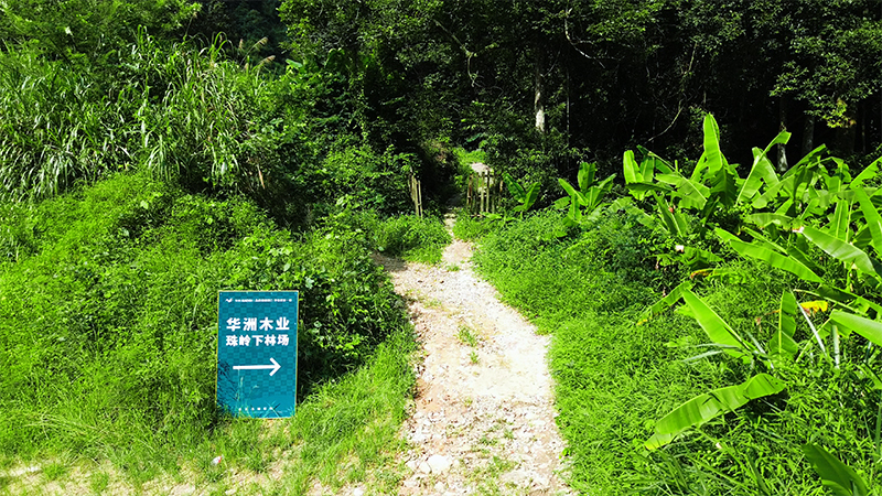 嚴(yán)格選材，只為一張好板材！(圖1)